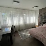 Haus Pia Executive 아파트 프리드리히스하펜