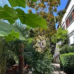 아파트 Haus Pia Executive *