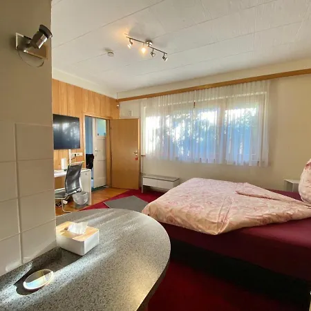 Haus Pia Executive * Friedrichshafen