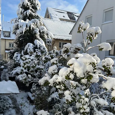 Haus Pia Executive * Friedrichshafen