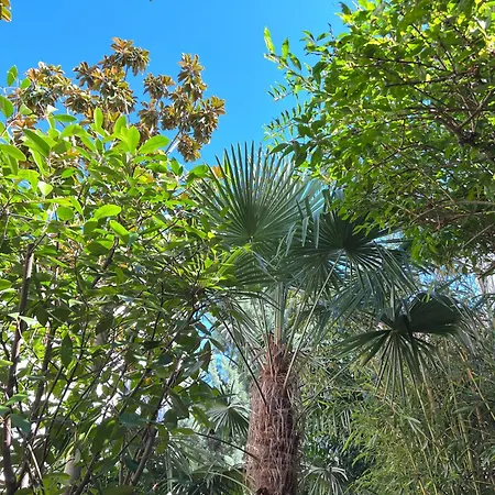 Haus Pia Executive Apartamento Friedrichshafen