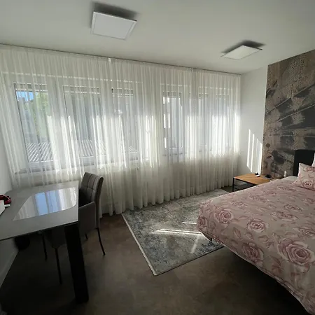 Haus Pia Executive 公寓 腓特烈港