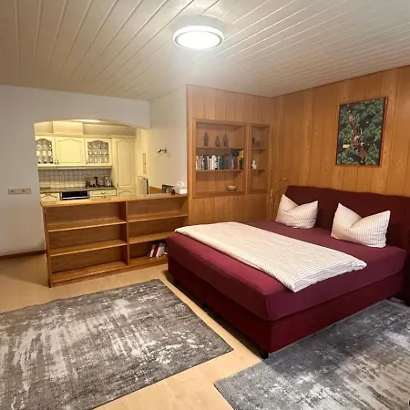 Haus Pia Executive 腓特烈港