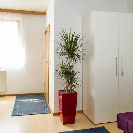 Apartment Haus Pia Executive *