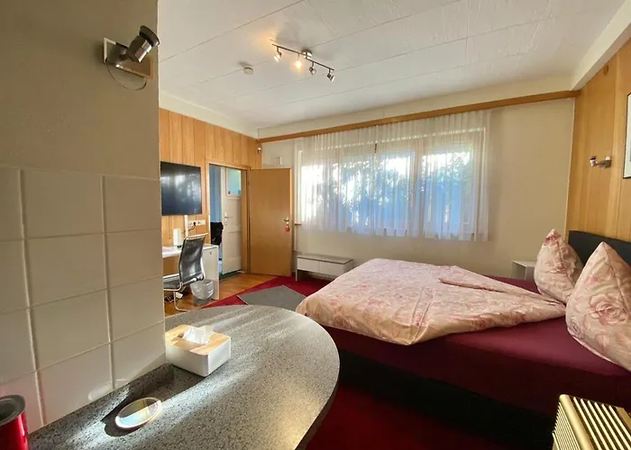 Haus Pia Executive * Фридрихсхафен