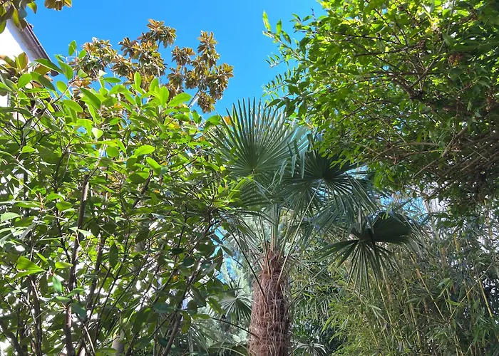 Haus Pia Executive Апартаменты Фридрихсхафен